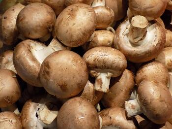 Champignons 250g Schale