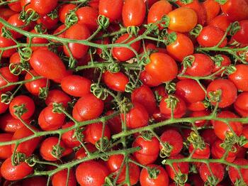 Cherrytomaten / Cocktail-Tomaten