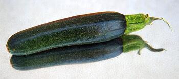 Zucchini