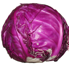 Rotkohl