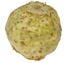 Sellerie Knolle