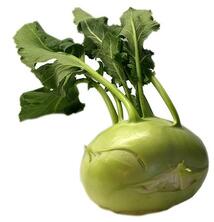 Kohlrabi wei&szlig;
