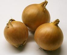 Zwiebel gelb