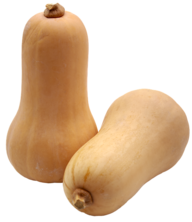 K&uuml;rbis Butternuss