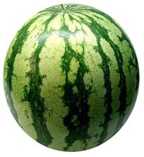 Wassermelonen Mini